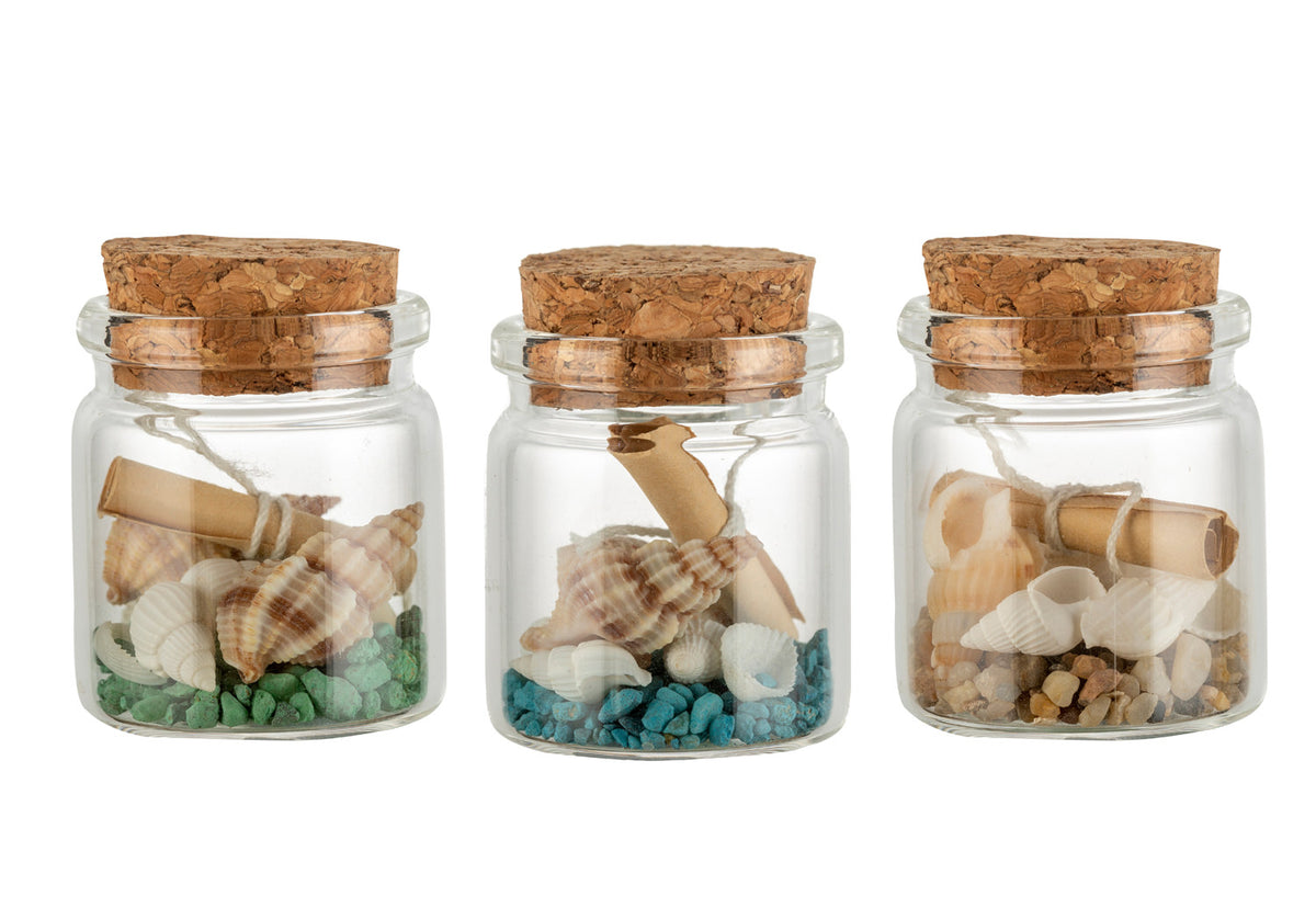 Sandflasche Muscheln