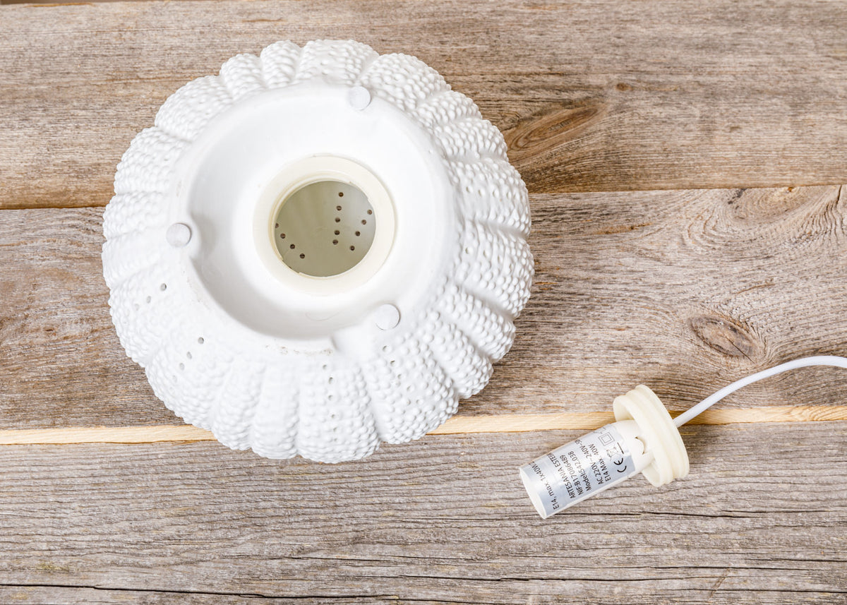 Lampe Seeigel