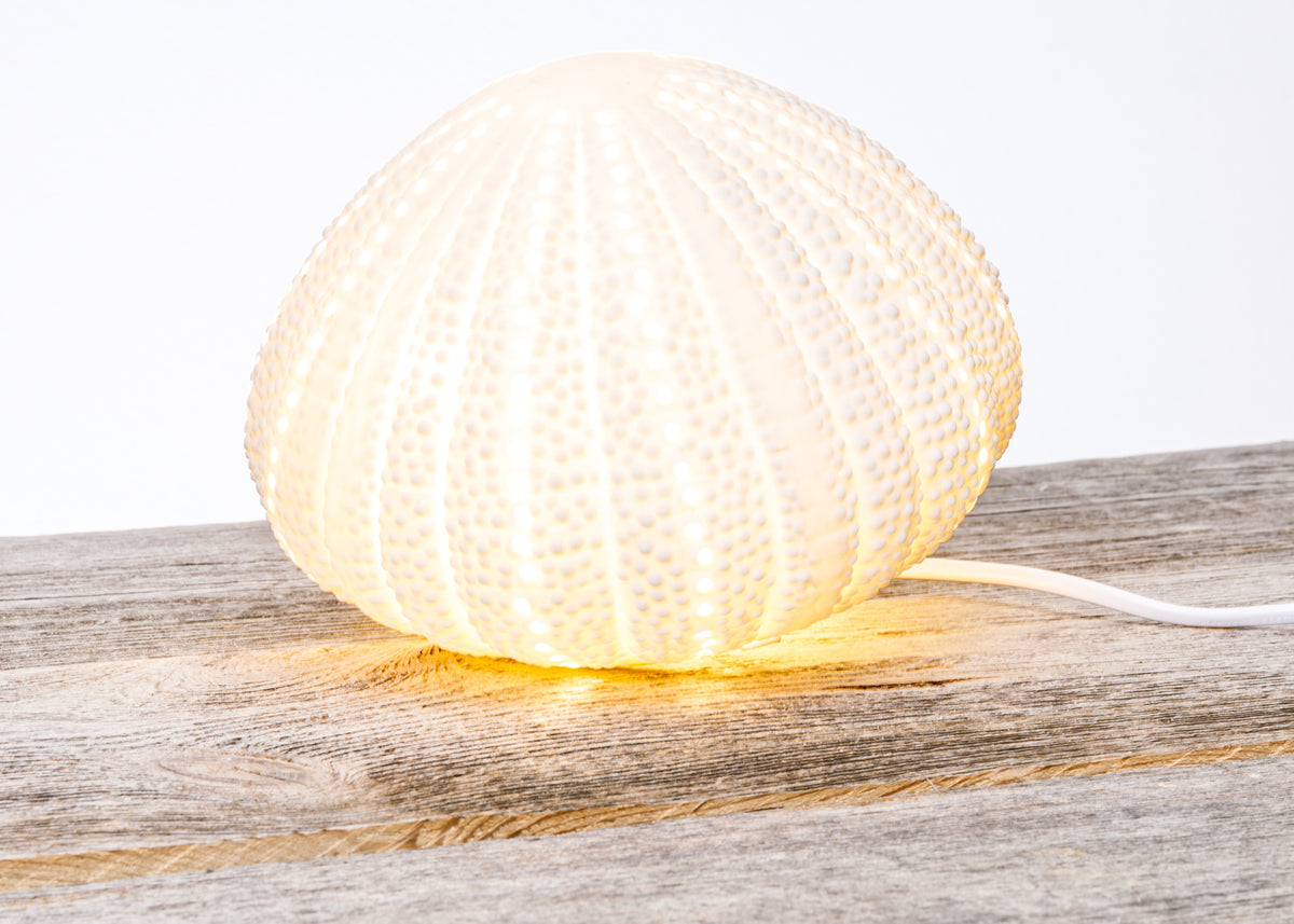 Lampe Seeigel
