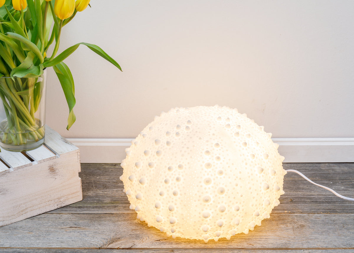 Bodenlampe Seeigel