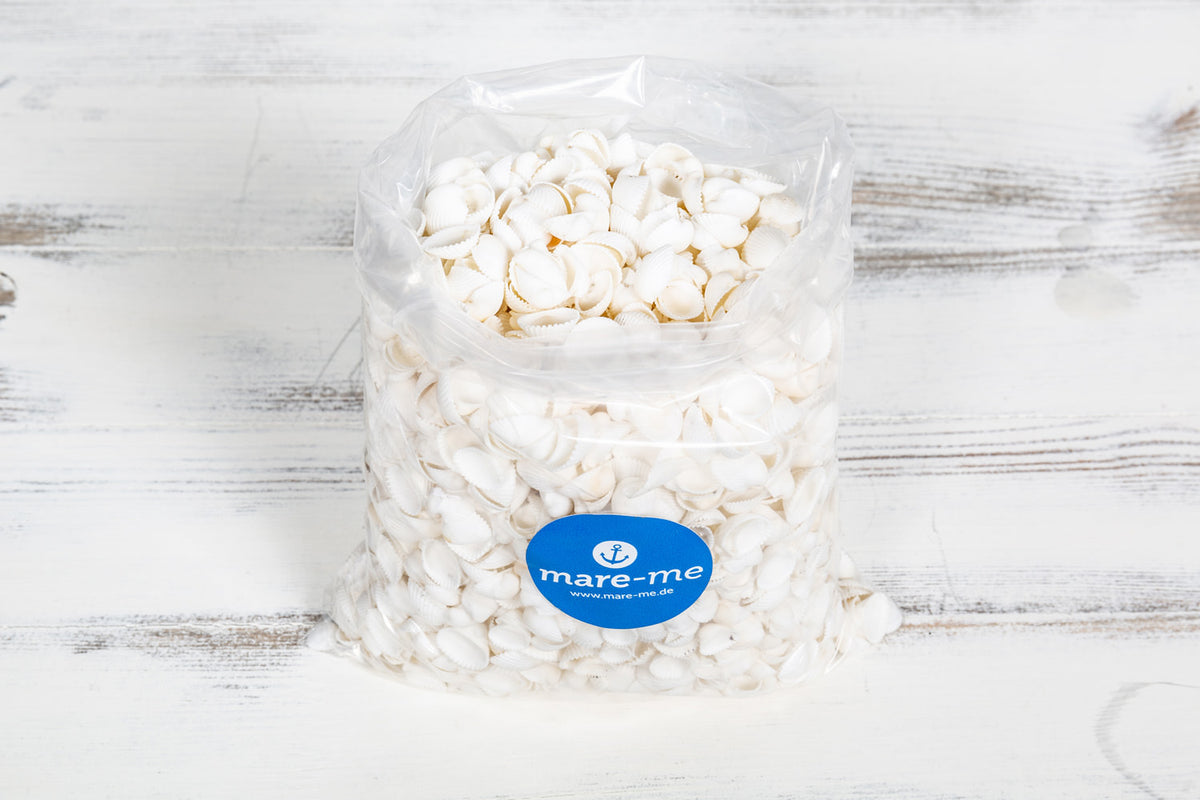 Dekomuscheln, Cookles klein, 1kg