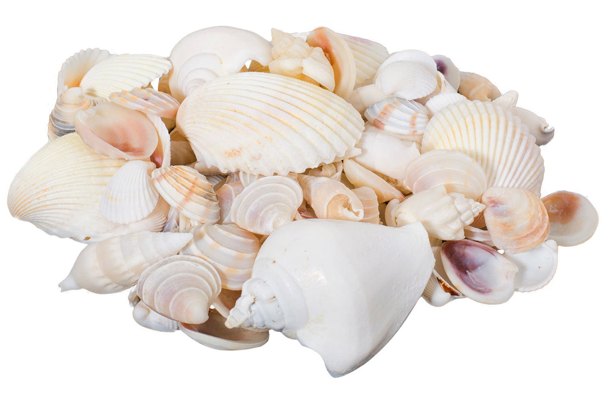 Deko Muschelmix weiß 250gr.