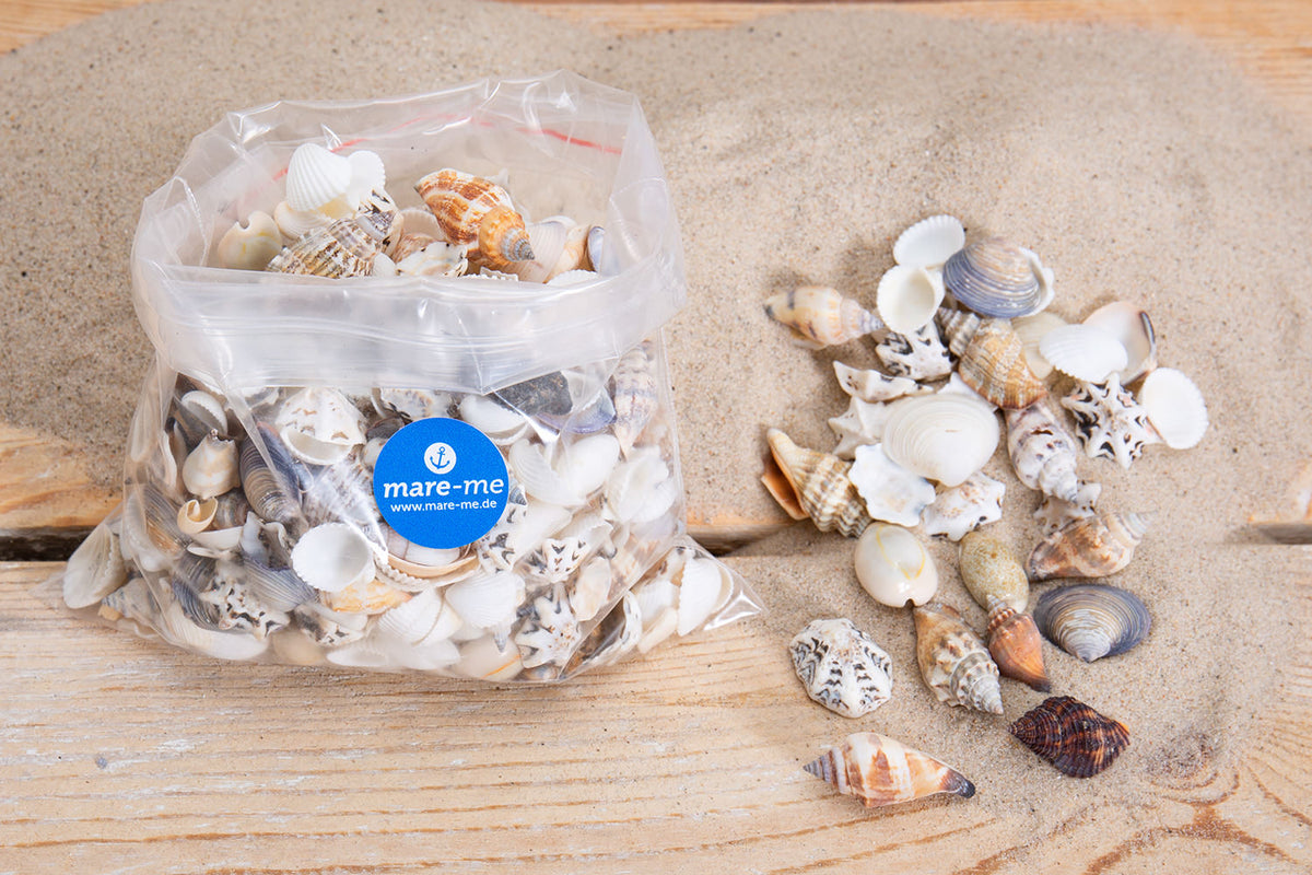 Streudeko Muscheln 250gr