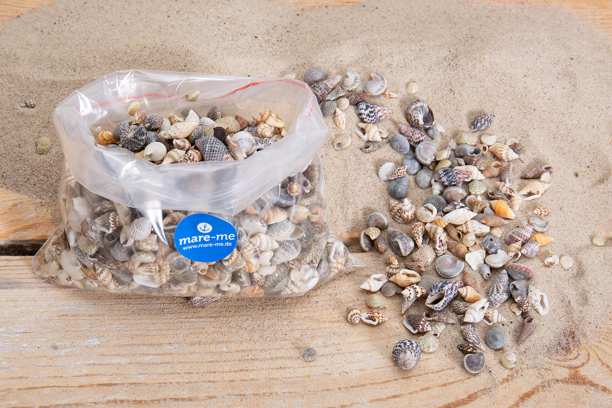 Deko Muscheln klein mix 250gr.