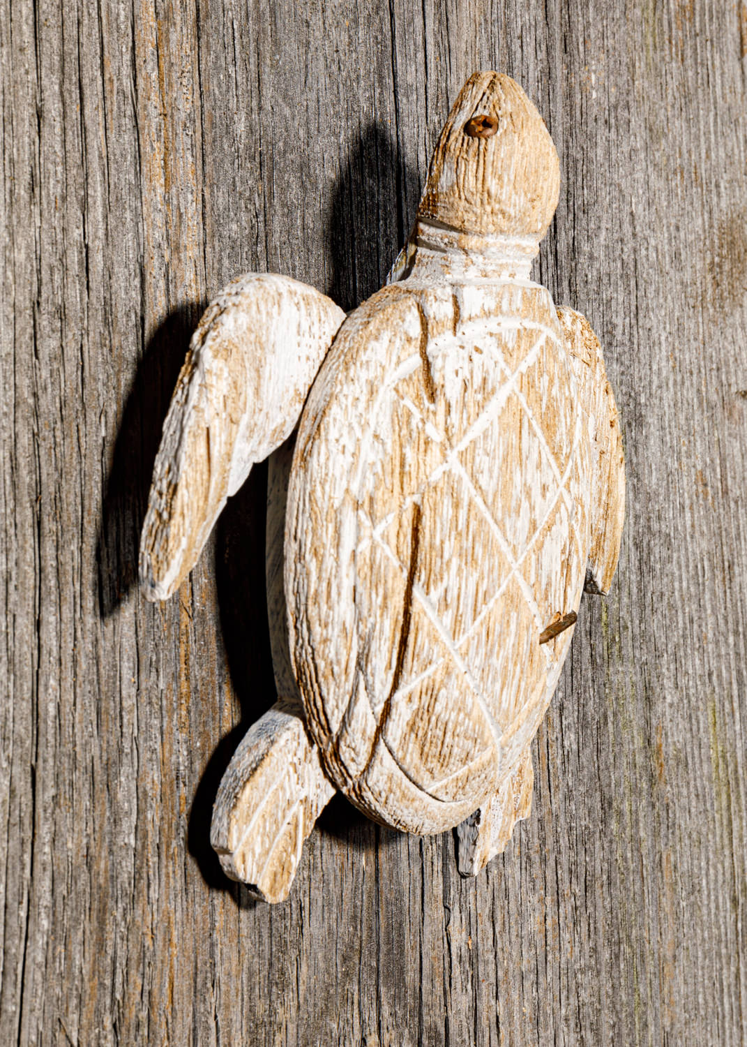 Schildkröte Holz Deko