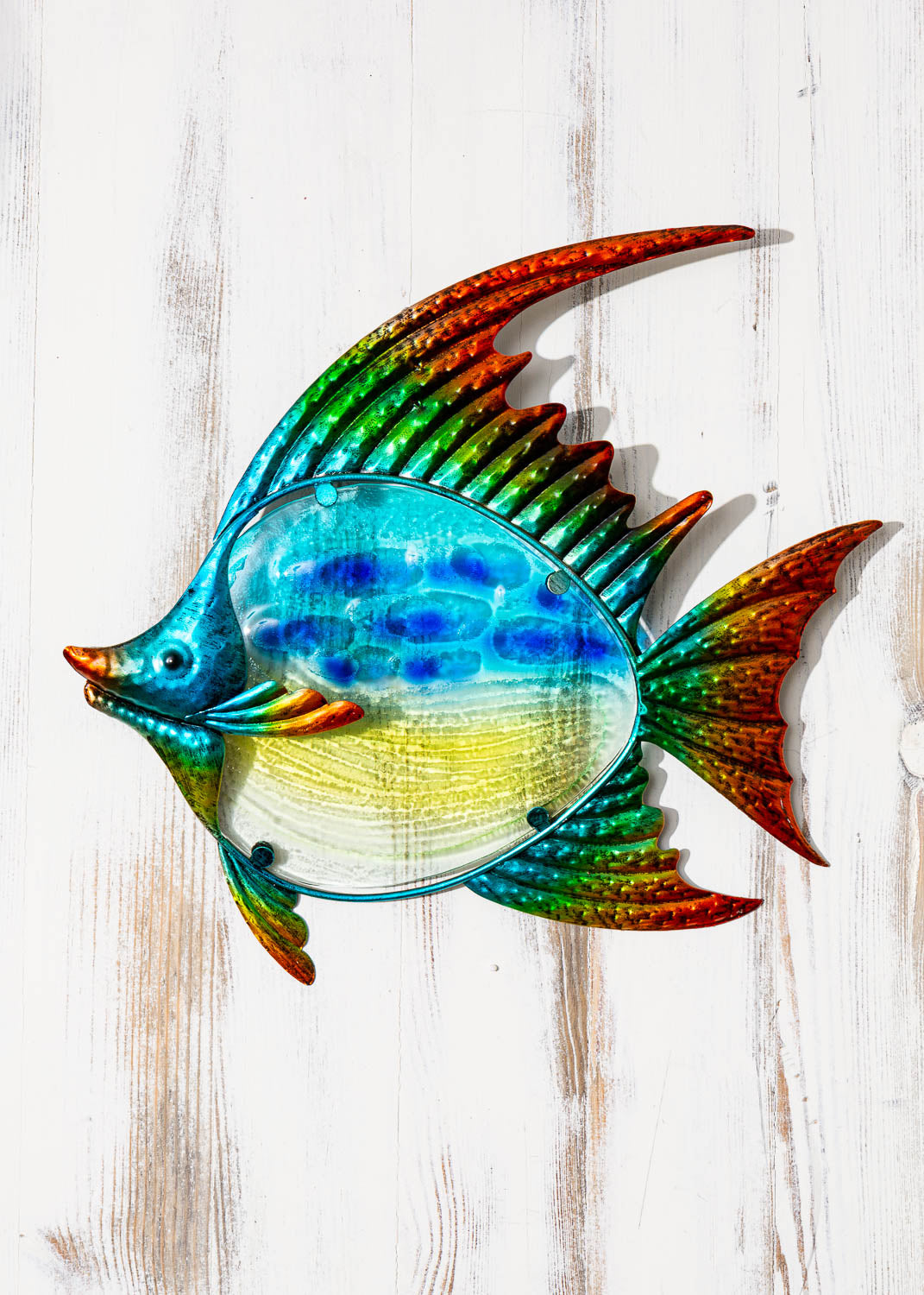 Wanddeko Fisch bunt