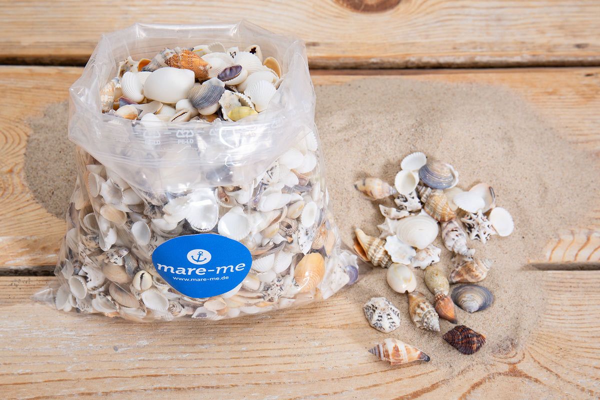 Dekoration Muscheln mittelgroß 1kg