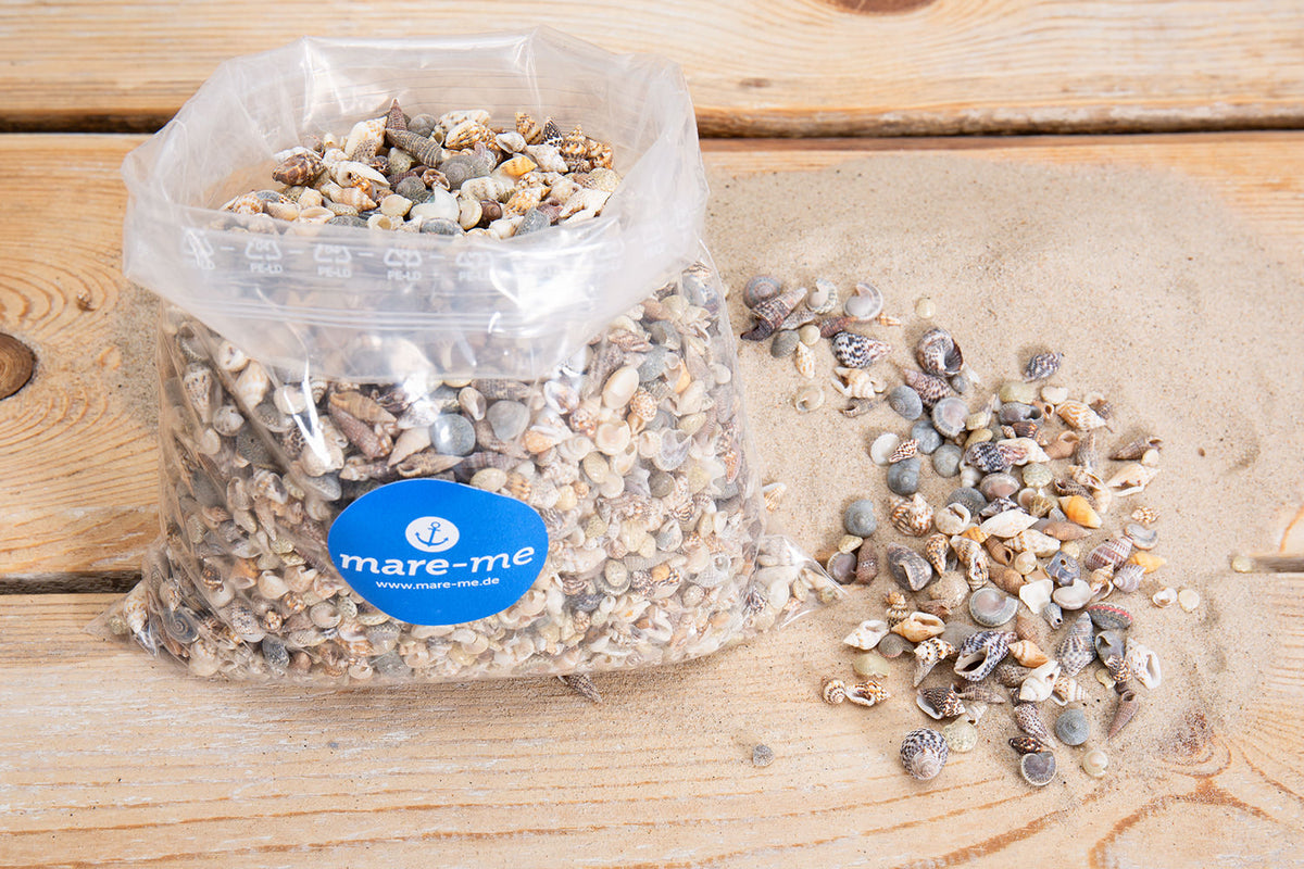 Muschelmix Deko klein 1kg
