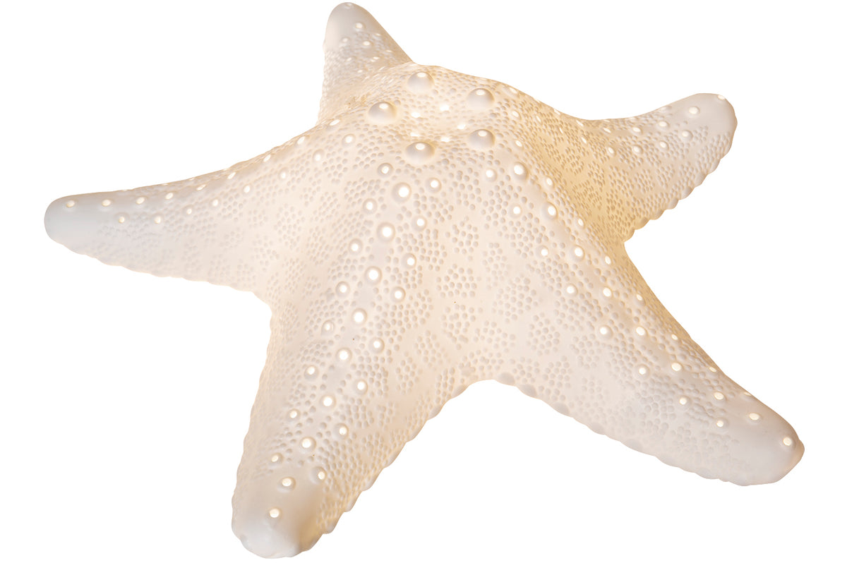 Lampe Seestern