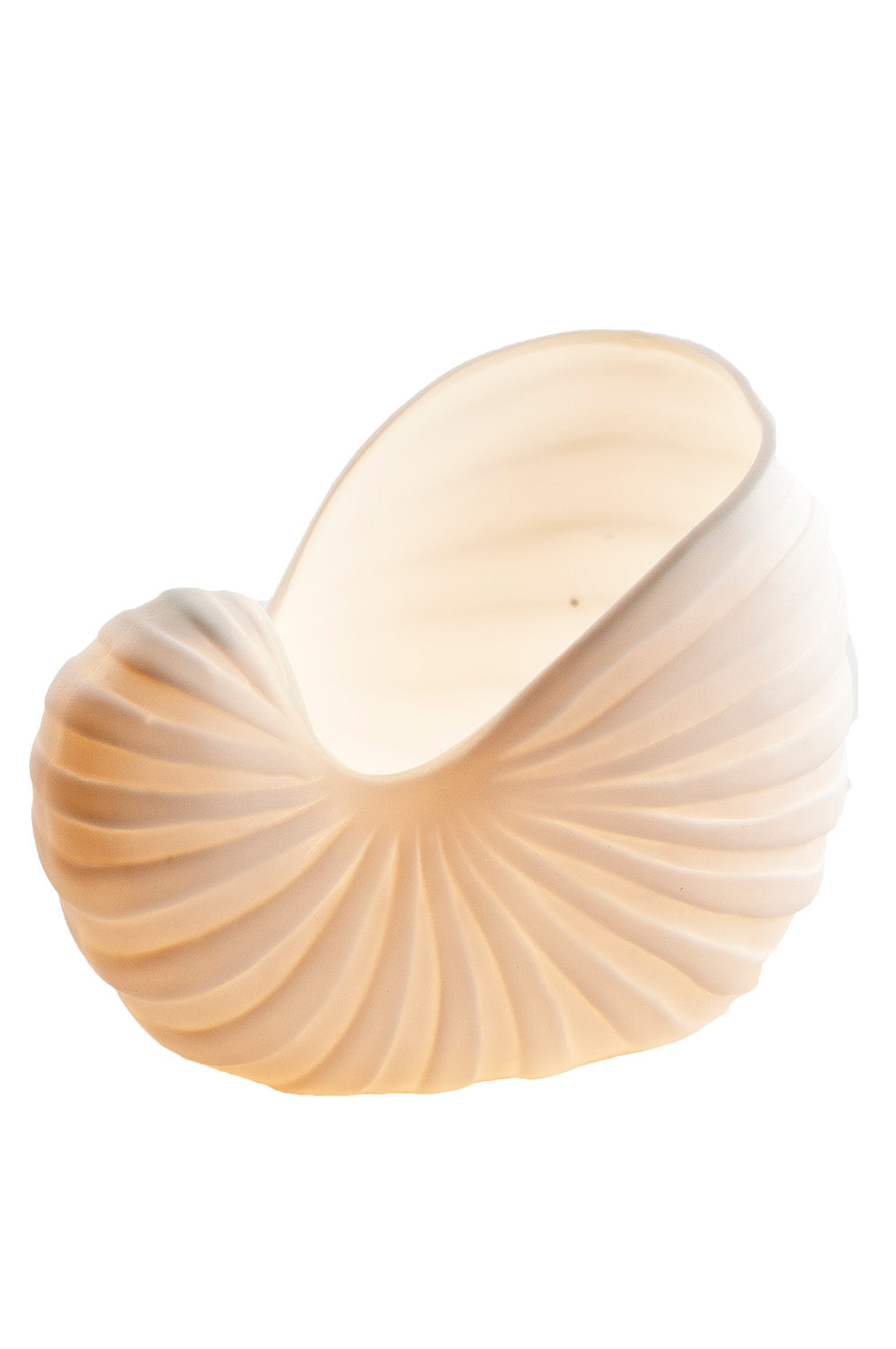 Muschelhorn Teelichtlampe