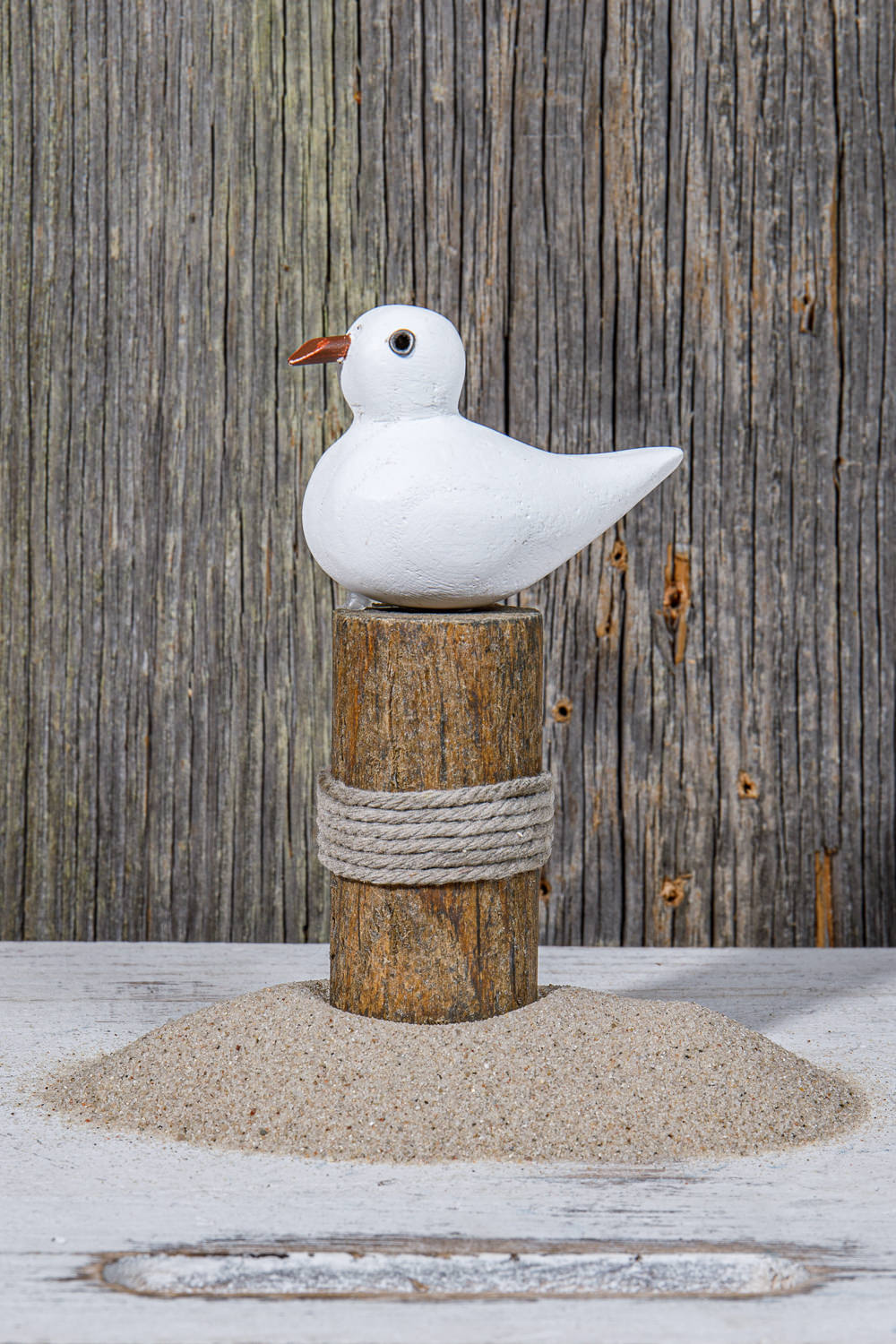 Kleine Möwe auf Holzpfahl Poller